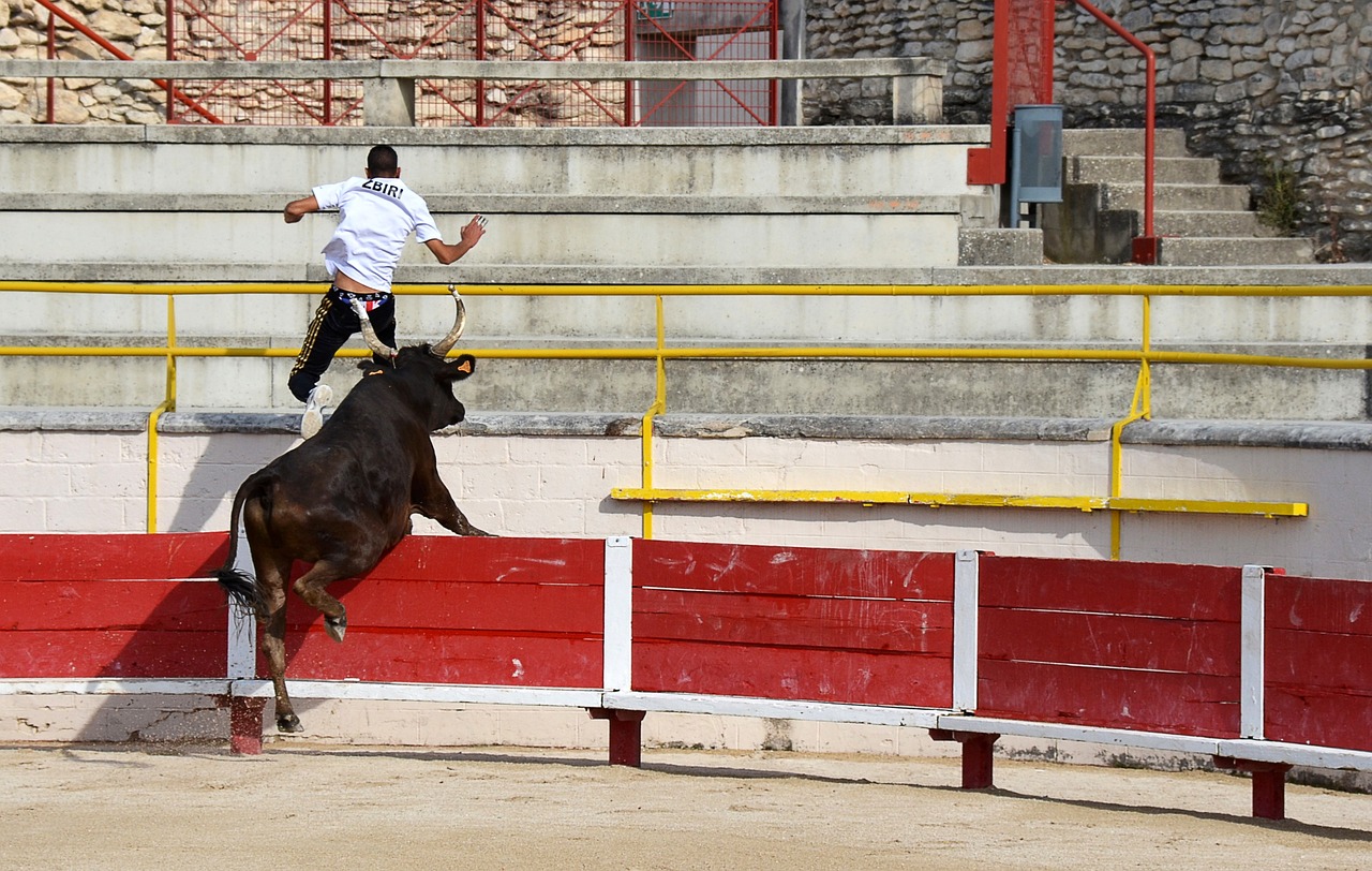 尊严