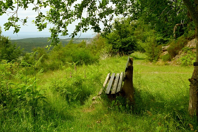 布拉德利對 布拉德利對