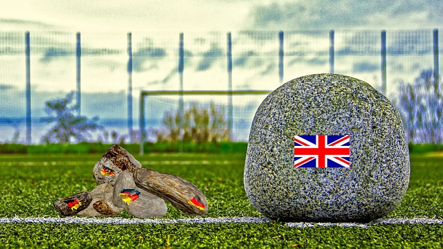 欢迎的运动 欢迎的运动