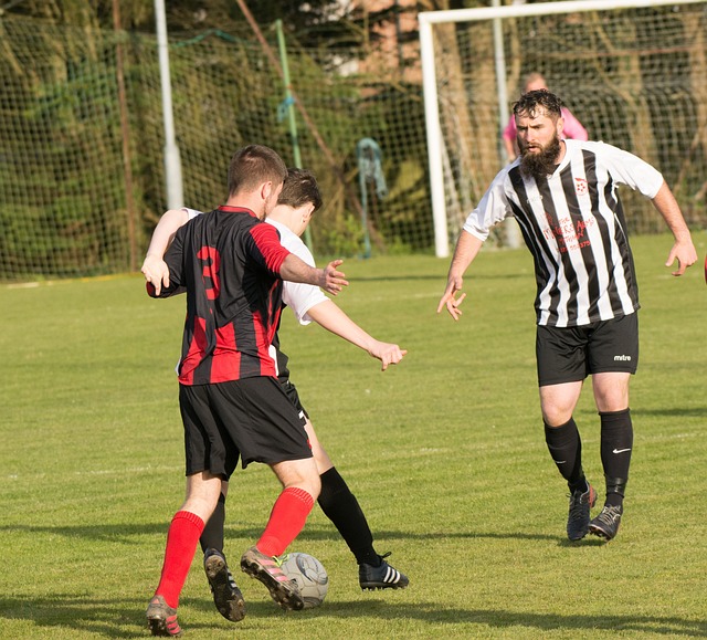 再惹争议?樊振东做法被认可,国际乒联发声 太高明,四字道出原因.