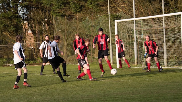 致力于成为 致力于成为