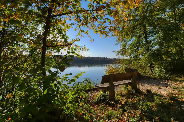 通过深入分 通过深入分