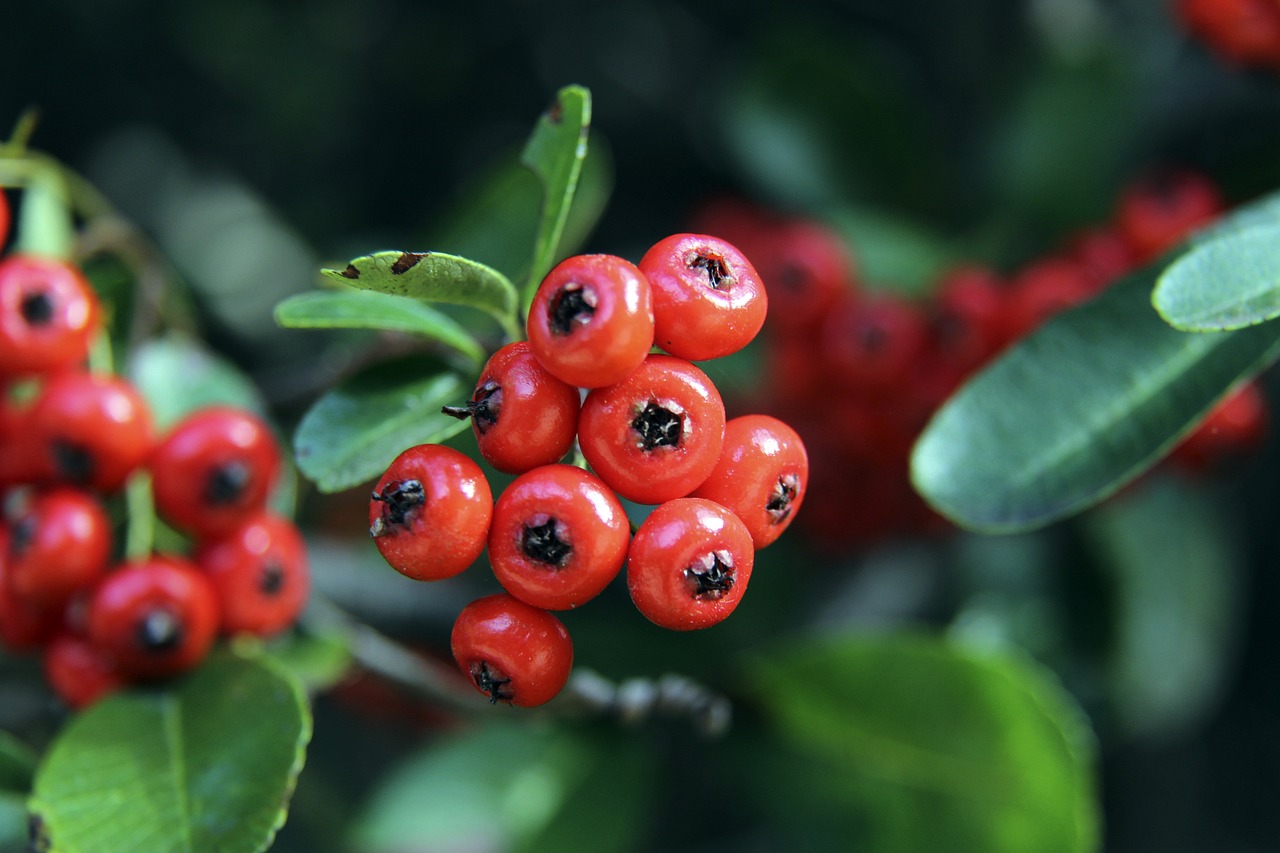 能够在如此 能够在如此